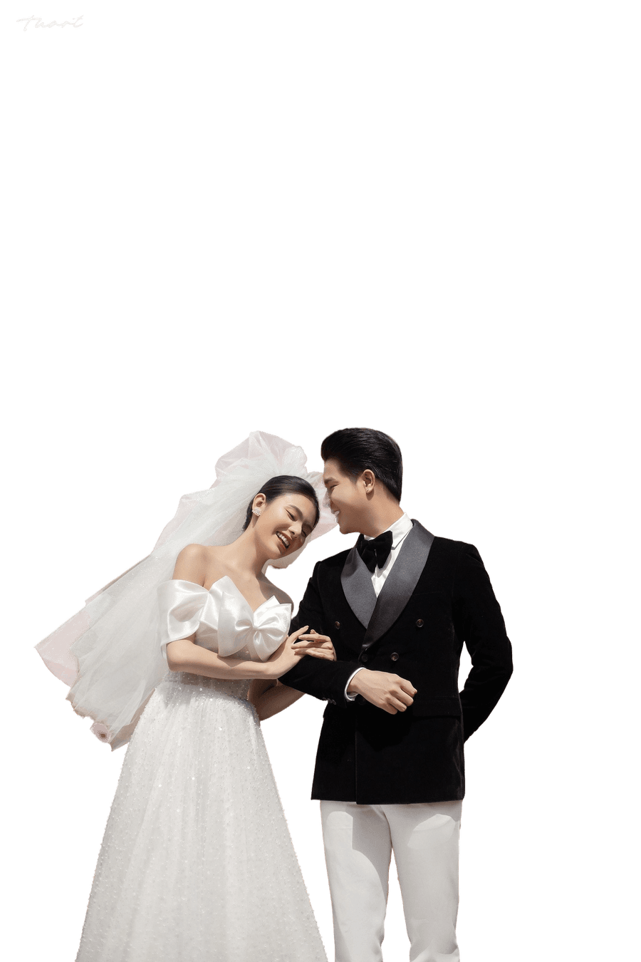 The Herald (Premium)